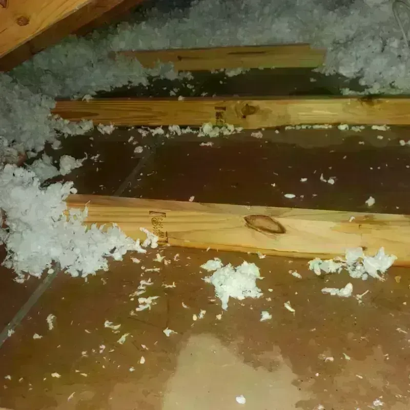 Attic Water Damage in Woodway, TX