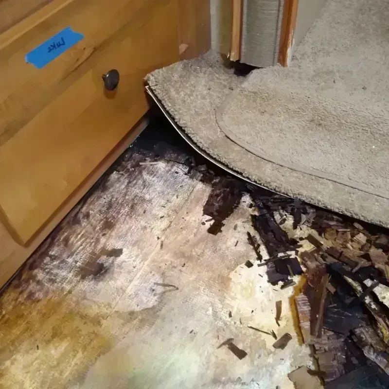 Best Wood Floor Water Damage Service in Woodway, TX